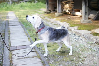 DSC00957.JPG