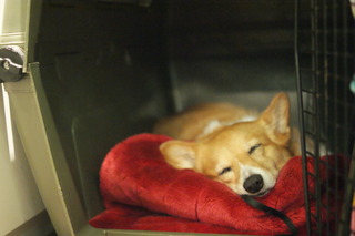 DSC01637.JPG