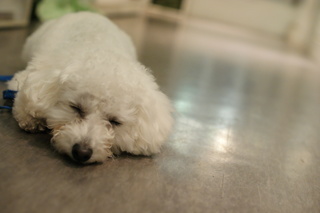 DSC01866.JPG