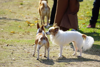 DSC02185.JPG