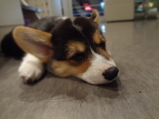 DSC02955.JPG
