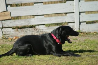 DSC03054.JPG