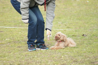 DSC03182.JPG
