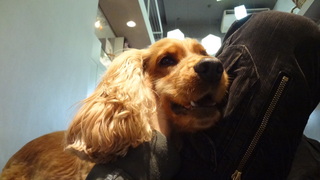 DSC04148.JPG