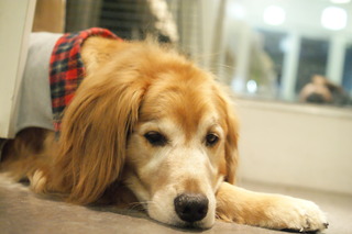 DSC04393.JPG