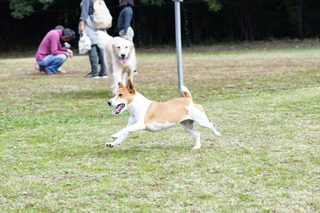 DSC07884.JPG