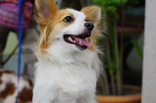 DSC08440.JPG