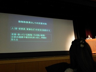 DSC_1908.JPG