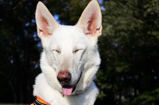 DSC_2762-0.jpg