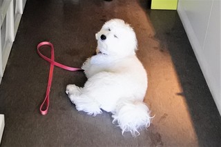 DSC_4382 (2).JPG