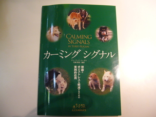 P1010555.JPG