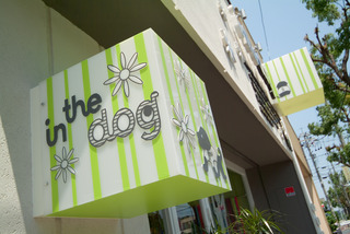 intheDog_002.jpg